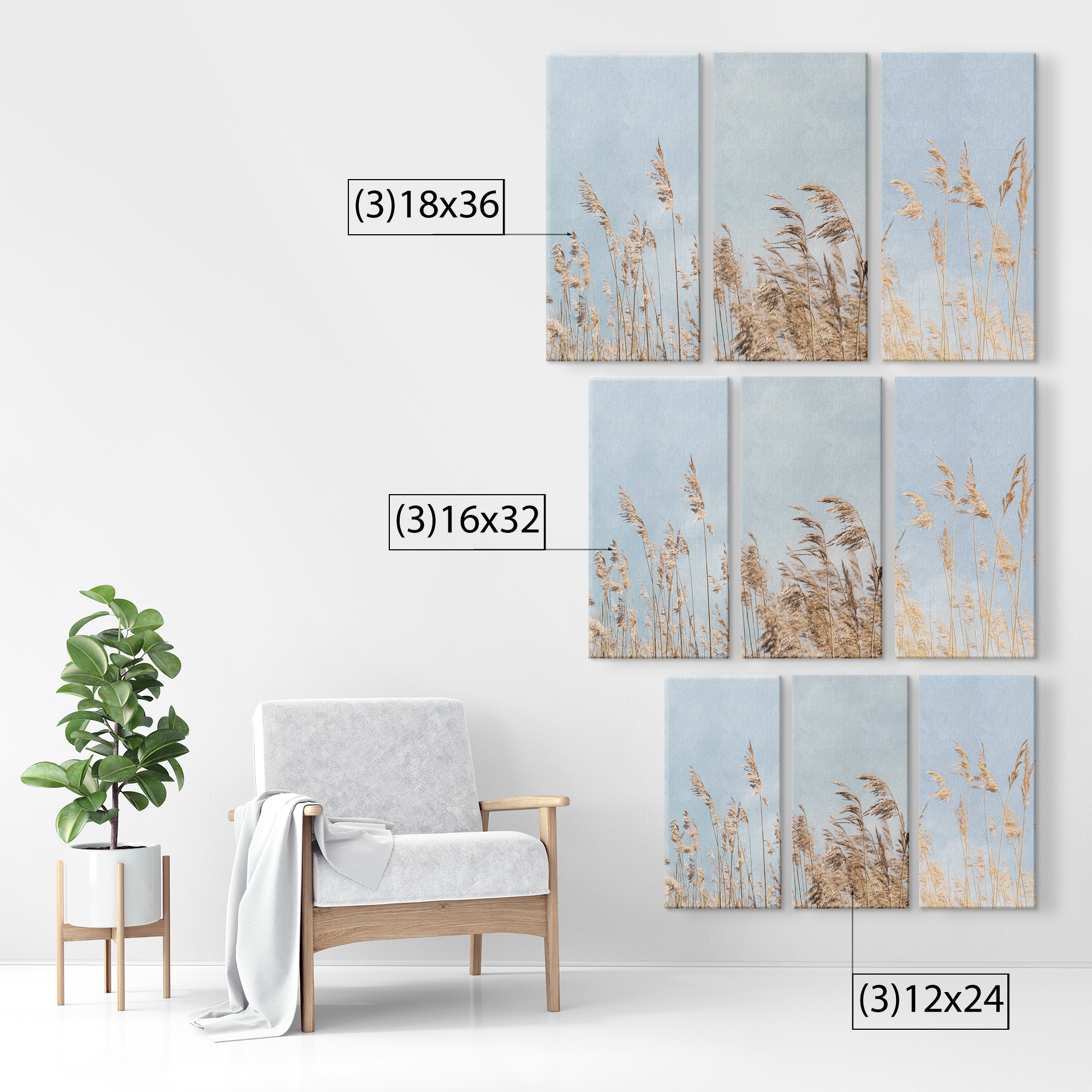 3 Piece Canvas dry pampas grass against blue sky, Boho style Canvas AnywherePOD