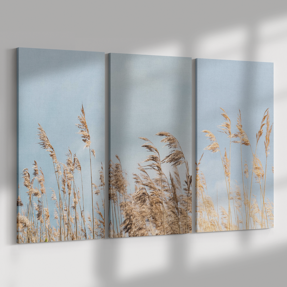 3 Piece Canvas dry pampas grass against blue sky, Boho style Canvas AnywherePOD (3) 18" x 36"