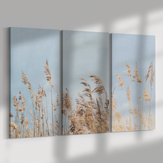 3 Piece Canvas dry pampas grass against blue sky, Boho style Canvas AnywherePOD (3) 18" x 36"