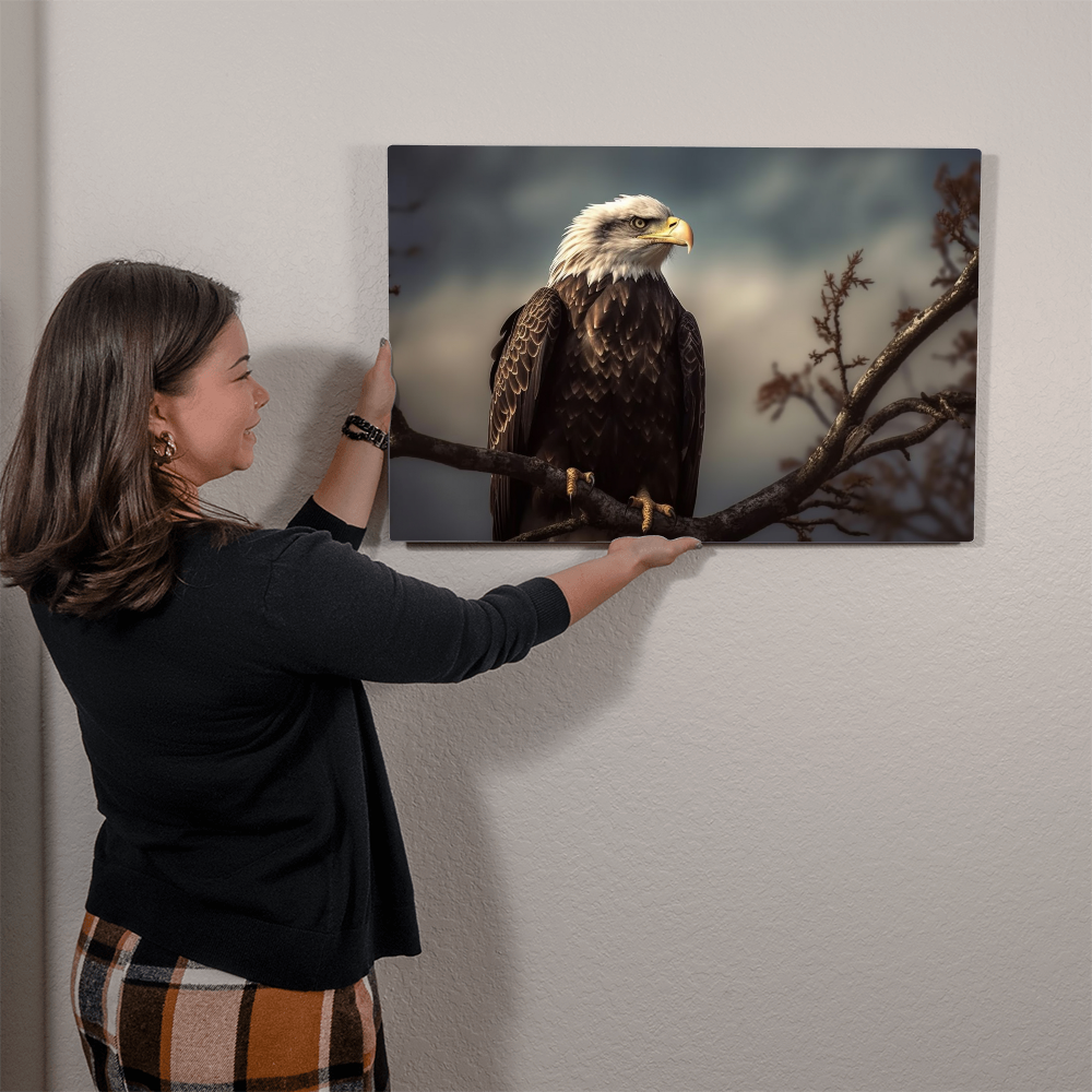 high gloss metal print of a bald eagle