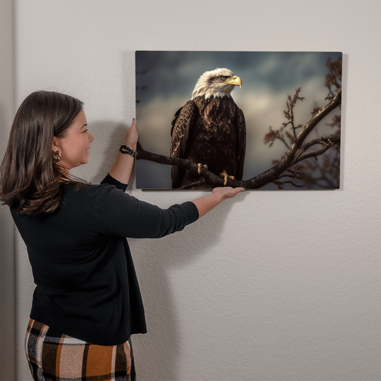 high gloss metal print of a bald eagle - Tailored Wall Expressions