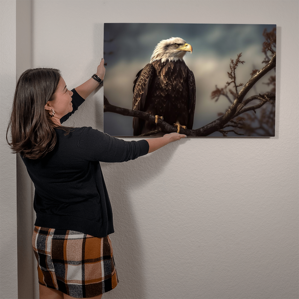 high gloss metal print of a bald eagle