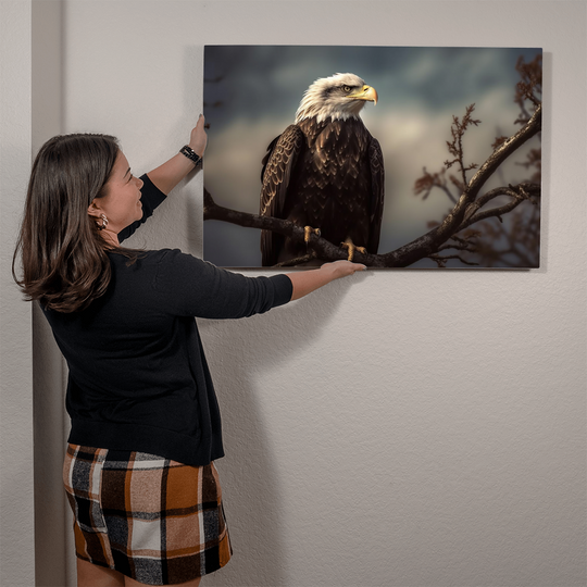 high gloss metal print of a bald eagle - Tailored Wall Expressions