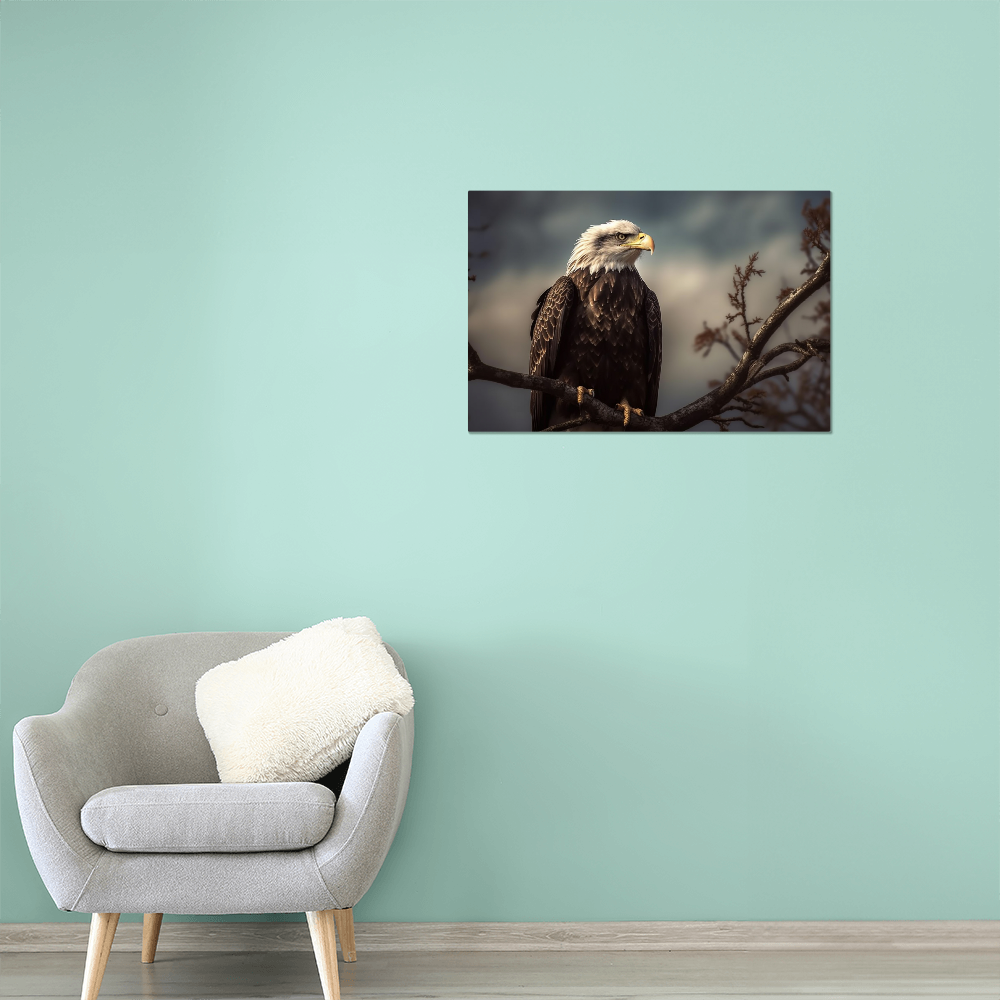 high gloss metal print of a bald eagle