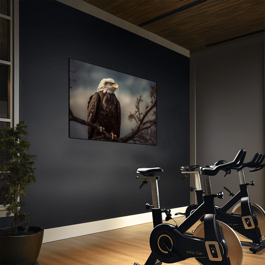 high gloss metal print of a bald eagle - Tailored Wall Expressions