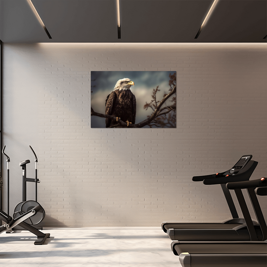 high gloss metal print of a bald eagle - Tailored Wall Expressions