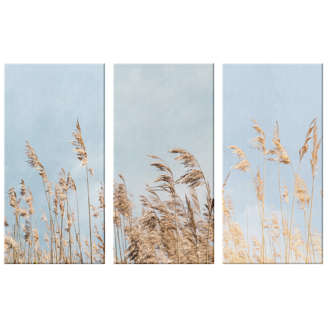 3 Piece Canvas dry pampas grass against blue sky, Boho style Canvas AnywherePOD (3) 12" x 24"