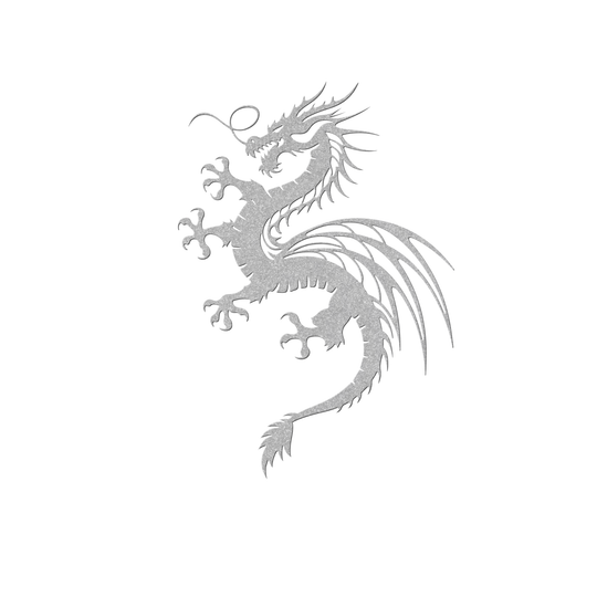 Elegant Metal Dragon Wall Art Decor