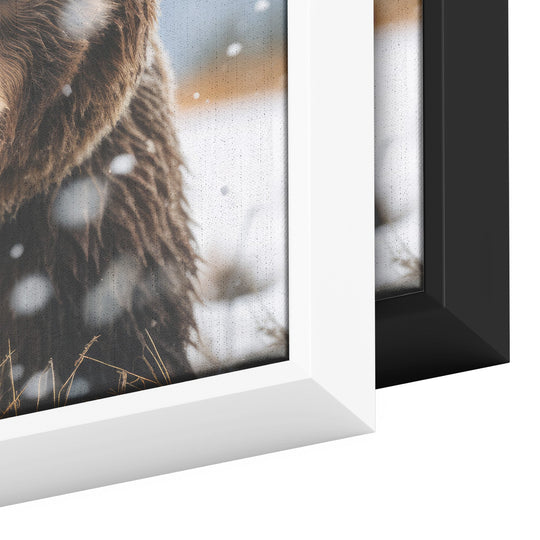 framed square canvas art with a grizzly bear image Canvas teelaunch