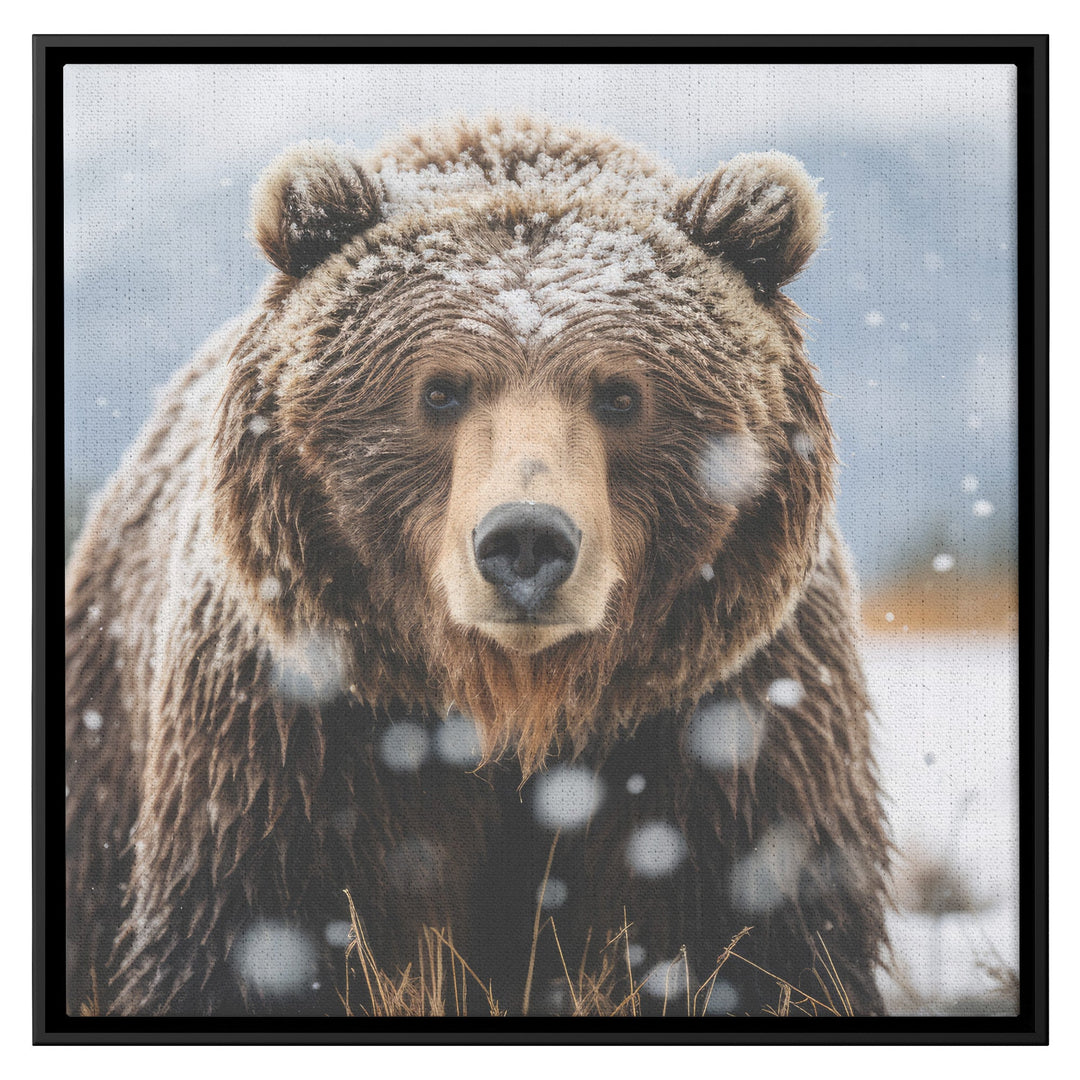 framed square canvas art with a grizzly bear image Canvas teelaunch Black 36x36