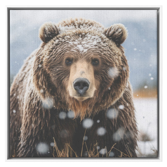 framed square canvas art with a grizzly bear image Canvas teelaunch