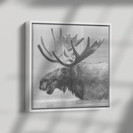 Framed black and white print of a moose on matte canvas Canvas teelaunch White 36x36