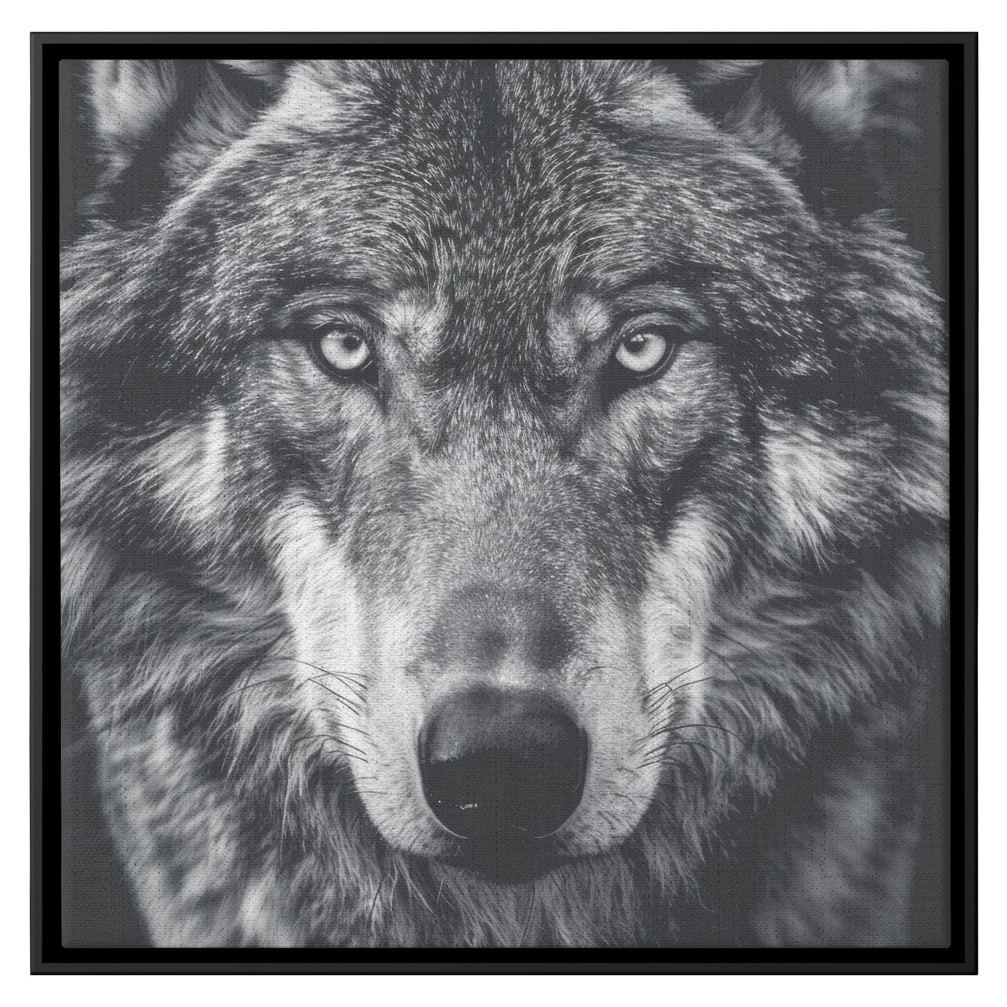 Wolf, black and white canvas - Tailored Wall ExpressionsCanvasframedcanvasblk36x36